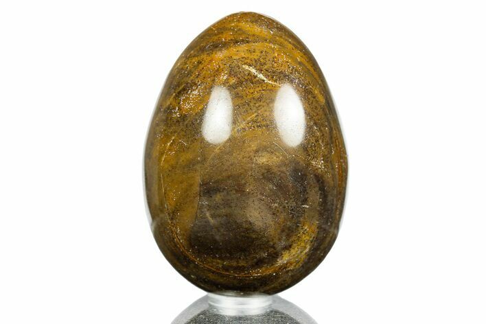 Polished Petrified Wood Egg - Australia #309046